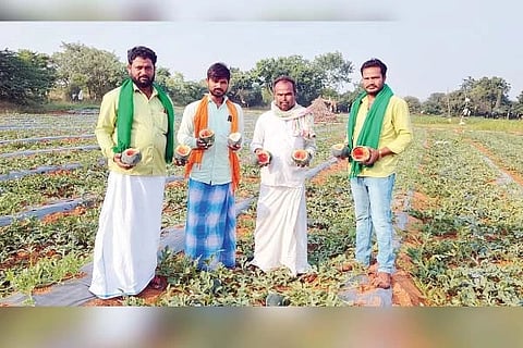 ಕನಕಗಿರಿ ತಾಲೂಕಿನ ಜಮೀನೊಂದರಲ್ಲಿ ಕರಡಿಗಳು ಹಾಳು ಮಾಡಿರುವ ಬೀಜೋತ್ಪಾದನೆ ಕಲ್ಲಂಗಡಿ ಹಣ್ಣಗಳನ್ನು ಪ್ರದರ್ಶಿಸುತ್ತಿರುವ ರೈತ ಮತ್ತು ರೈತ ಮುಖಂಡರು.