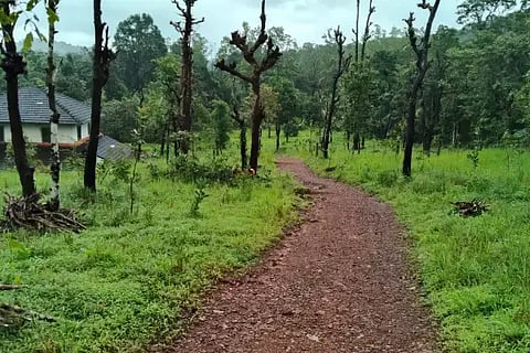 ಭೂಮಿ