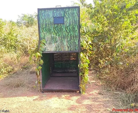 leopard ಚಿರತೆ ಸೆರೆಗಾಗಿ ಹುಬ್ಬಳ್ಳಿ ವಿಮಾನ ನಿಲ್ದಾಣದಲ್ಲಿ ಇಟ್ಟಿರುವ ಬೋನು.