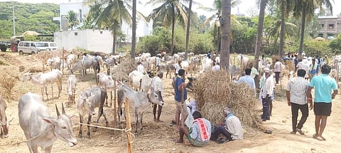  ಮಾಗಡಿಯ ಶ್ರೀ ರಂಗನಾಥಸ್ವಾಮಿರಾಸುಗಳ ಜಾತ್ರೆ