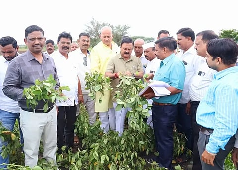 farmers ಹು-ಧಾ ಸೆಂಟ್ರಲ್ ಕ್ಷೇತ್ರದ ಬರಪೀಡಿತ ಕೃಷಿ ಭೂಮಿಗಳಿಗೆ ಶಾಸಕ ಮಹೇಶ ಟೆಂಗಿನಕಾಯಿ ಭೇಟಿ ನೀಡಿ, ಬೆಳೆ ಪರಿಶೀಲಿಸಿದರು. 