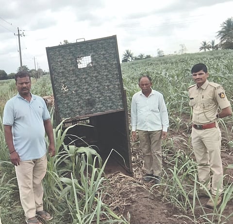 ನಾಗರಾಳ ಗ್ರಾಮದಲ್ಲಿ ಚಿರತೆ ಸೆರೆ ಹಿಡಿಯಲು ಅಳವಡಿಸಿರುವ ಬೋನು.