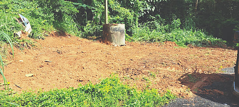  ಮೂಲ್ಕಿ ರೈಲ್ವೆ ನಿಲ್ದಾಣ ಬಳಿ ತ್ಯಾಜ್ಯ ವಸ್ತು ತೆರವು ಮಾಡಿರುವುದು.