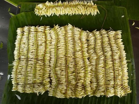 ಉಡುಪಿ ಜಿಲ್ಲೆಯಲ್ಲಿ ಬೆಳೆಯುವ ಶಂಕರಪುರ ಮಲ್ಲಿಗೆ. (ಸಾಂದರ್ಭಿಕ ಚಿತ್ರ).