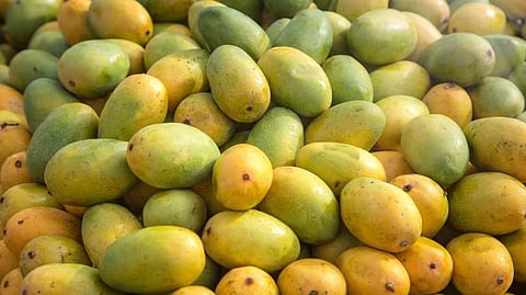 (ಸಾಂದರ್ಭಿಕ ಚಿತ್ರ)