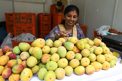Mango Mela 