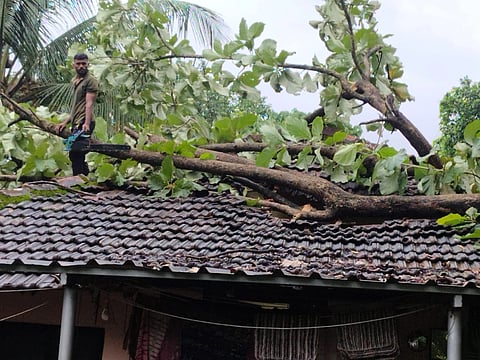 ಮಂಗಳೂರು ನಗರದ ಎಯ್ಯಡಿಯಲ್ಲಿ ವಸಂತಿ ಅವರ ಮನೆ ಮೇಲೆ ತೆಂಗಿನ ಮರ ಬಿದ್ದು ಹಾನಿಯಾಗಿದೆ.
