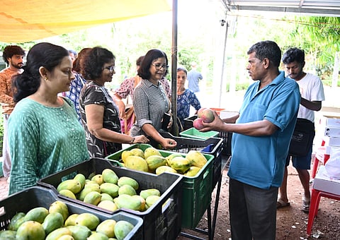 ರಾಮನಗರ ಜಿಲ್ಲಾ ಮಾವು ತೋಟದ ಬೆಳೆಗಾರರ ಮಾರಾಟ ಸಂಘದ ವತಿಯಿಂದ ತೋಟಗಾರಿಕಾ ಇಲಾಖೆ ಸಹಕಾರದೊಂದಿಗೆ ನಗರದ ಕದ್ರಿ ಉದ್ಯಾನವನದಲ್ಲಿ ಆಯೋಜಿಸಿರುವ ನಾಲ್ಕು ದಿನಗಳ ಮಾವು ಮೇಳ