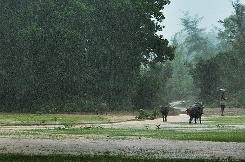 ಕಪ್ಪತ್ತಗುಡ-ಕಡಕೋಳ ಗ್ರಾಮ ಬಳಿ ಮುಂಗಾರು Monsoon ಪೂರ್ವ ಬಾರಿ ಮಳೆ ಸುರಿಯಿತು.