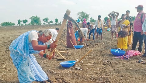 ಸವಡಿಯಲ್ಲಿ ನರೇಗಾ ಯೋಜನೆಯಡಿ ಕಾಮಗಾರಿ ಮಾಡುತ್ತಿರುವ ರಮೇಶ ಕಂಬಳಿ.