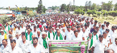 ರೈತರಿಂದ ಖರೀದಿಸುವ ಹಾಲಿನ ದರ ಹಾಗೂ ಸರ್ಕಾರದ ಪ್ರೋತ್ಸಾಹ ಧನ ಹೆಚ್ಚಳ ಮಾಡುವಂತೆ ಆಗ್ರಹಿಸಿ ನೆಲಮಂಗಲ ತಾಲೂಕು ಹಾಲು ಉತ್ಪಾದಕರ ಸಹಕಾರ ಸಂಘಗಳ ಸದಸ್ಯರು ಹಾಗೂ ರೈತರು ಬೃಹತ್​ ಪ್ರತಿಭಟನೆ ನಡೆಸಿದರು.