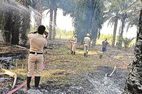  fire ಹೊನ್ನಾಳಿ ಅಗ್ನಿಶಾಮಕ ದಳದವರು ಬಂದು ಬೆಂಕಿ ನಂದಿಸಿದ್ದಾರೆ.