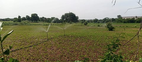 crop down ಹುಬ್ಬಳ್ಳಿ ತಾಲೂಕಿನಲ್ಲಿ ಸೋಯಾಬೀನ್​ ಬೆಳೆಗೆ ಬೋರ್​ವೆಲ್​ ನೀರು ಉಣಿಸುತ್ತಿರುವುದು.