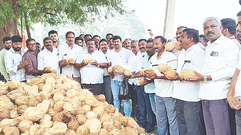 ಎಪಿಎಂಸಿ ಉಪ ಮಾರುಕಟ್ಟೆಯಲ್ಲಿ ತೆಂಗಿನಕಾಯಿ ಸಂತೆಗೆ ಶಾಸಕ ಸಿ.ಎನ್.ಬಾಲಕೃಷ್ಣ ಚಾಲನೆ ನೀಡಿದರು, ವಿಜಯಲಕ್ಷ್ಮೀ, ದೊರೆಸ್ವಾಮಿ, ತೋಟಿ ನಾಗರಾಜ್, ಪುಟ್ಟಸ್ವಾಮಿ, ಬಸವನಪುರ ಪ್ರಕಾಶ್, ಸೋಮಶೇಖರ್ ಇದ್ದರು. 