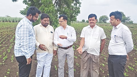ಔರಾದ್​ ತಾಲೂಕಿನ ನಾಗೂರ(ಎಂ) ಹಾಗೂ ಖಾಶೆಂಪುರ ಗ್ರಾಮಕ್ಕೆ ಕೃಷಿ ಅಧಿಕಾರಿಗಳ ತಂಡ ಭೇಟಿ ನೀಡಿ ದುಡ್ಡಿನ ಹುಳು ಬಾಧೆಗೊಳಗಾದ ಬೆಳೆಗಳನ್ನು ಪರಿಶೀಲಿಸಿತು. ಉಪ ನಿರ್ದೇಶಕ ಅನ್ಸಾರಿ ಎಂ.ಎ.ಕೆ., ಸಹಾಯಕ ನಿರ್ದೇಶಕ ಮಾರ್ಥಂಡ, ಅಂಬರೀಶ್​ ಇತರರಿದ್ದರು.