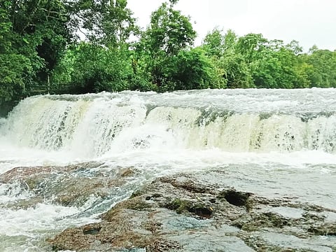 ಸಿದ್ದಾಪುರ ತಾಲೂಕಿನ ಹಲಗೇರಿ ಸಮೀಪದ ನಿಪ್ಲಿ ಫಾಲ್ಸ್​.