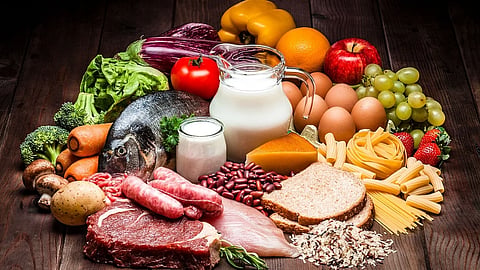 Nutrition food 
