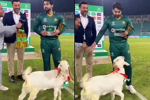 pakistan cricketer