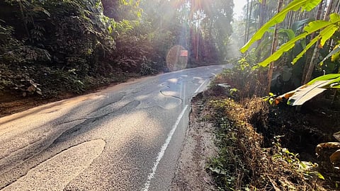ಸಾರಡ್ಕ ಸಮೀಪ ತೋಟದ ನಡುವಿನಲ್ಲಿ ಸಾಗುವ ರಸ್ತೆ ಕಿರಿದಾಗಿದೆ ಮತ್ತು ಹಳೇ ಡಾಂಬರು ಎದ್ದು ಹೋಗುತ್ತಿದೆ. 