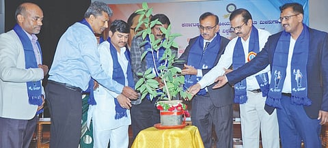 ಬೀದರ್​ನ ಪಶು ವೈದ್ಯಕಿಯ ವಿಶ್ವವಿದ್ಯಾಲಯ ಆವರಣದಲ್ಲಿ ಶುಕ್ರವಾರ ಹಮ್ಮಿಕೊಂಡಿದ್ದ ಡಾ.ಬಿ.ಆರ್​.ಅಂಬೇಡ್ಕರ್​ ಪ್ರತಿಮೆ ಅನಾವರಣ ಸಮಾರಂಭವನ್ನು ವಿಶ್ವವಿದ್ಯಾಲಯದ ಕುಲಪತಿ ಪ್ರೊ.ಕೆ.ಸಿ.ವೀರಣ್ಣ ಉದ್ಘಾಟಿದರು. ಡಾ.ಅಪ್ಪಗೆರೆ ಸೋಮಶೇಖರ, ಡಾ.ವೆಂಕಟಾಚಲ ವಿ.ಎಸ್​., ಡಾ.ಎಚ್​.ಎಂ.ಜಯಪ್ರಕಾಶ್​ , ಲತಾ ಡಿ.ಎಚ್​., ಬಸವರಾಜ ಭತಮುರ್ಗೆ ಇತರರಿದ್ದರು. 