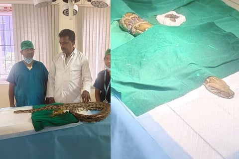 Python Surgery 