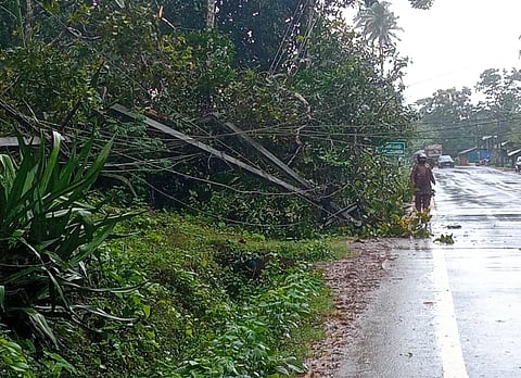ಯಲ್ಲಾಪುರ ತಾಲೂಕಿನ ಇಡಗುಂದಿ ಬಳಿ ಮಳೆ-ಗಾಳಿಗೆ RAIN ವಿದ್ಯುತ್ ಕಂಬಗಳು ಮುರಿದು ಬಿದ್ದಿವೆ. 