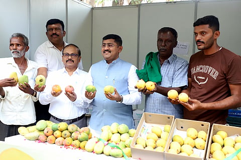 ಮಾವು ಮತ್ತು ಹಲಸಿನ ಮೇಳಕ್ಕೆ ಚಾಲನೆ 