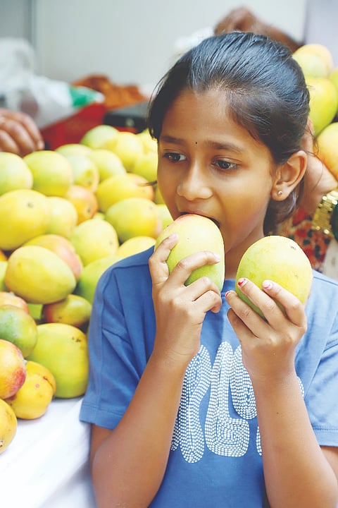 ಕಬ್ಬನ್ ಪಾರ್ಕ್​ನಲ್ಲಿ ಮಾವು ಮೇಳ 