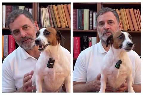 Rahul Gandhi with pet dog Noorie 