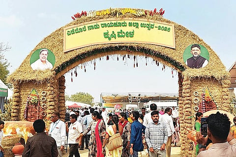 ಕೃಷಿ ಮೇಳದಲ್ಲಿ ಗಮನ ಸೆಳೆದ ಹುಲ್ಲಿನ ಸ್ವಾಗತ ಕಮಾನು.