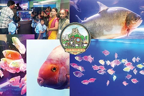 ರಾಯಚೂರು ಜಿಲ್ಲಾ ಉತ್ಸವ ನಿಮಿತ್ತ ಆಯೋಜಿಸಿದ್ದ ಮತ್ಸ್ಯ ಮೇಳದಲ್ಲಿ ಕಲ್ಲೂರು ಸರ್ಕಾರಿ ಶಾಲೆ ಮಕ್ಕಳು ಮೀನು ನೋಡಿ ಮಾಹಿತಿ ಪಡೆಯುತ್ತಿರುವುದು. ರೈತರ ಆದಾಯದ ಗಣಿ ರೂಪ್‌ಚಂದ್ ಮೀನು. ಫೈಯರ್‌ಮೌತ್ ಮೀನು. ರೆಡ್‌ಫ್ಯಾರಲ್ ಫಿಶ್. ಮತ್ಸ್ಯ ಮೇಳದಲ್ಲಿ ಗಮನ ಸೆಳೆದ ನಕ್ಷತ್ರ ಆಕಾರದ ಮೀನುಗಳು.