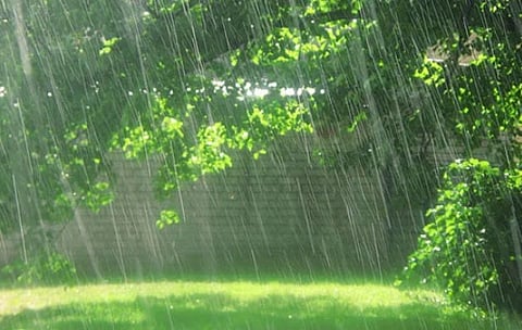 ಮಳೆಯ ಸಾಂದರ್ಭಿಕ ಫೋಟೋ