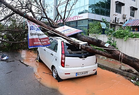 rain ಬಿರುಗಾಳಿ ಹಾಗೂ ಧಾರಾಕಾರ ಮಳೆಯಿಂದಾಗಿ ಹುಬ್ಬಳ್ಳಿಯ ವಿದ್ಯಾನಗರದಲ್ಲಿ ಕಾರುಗಳ ಮೇಲೆ ಬಿದ್ದಿರುವ ಮರ. 