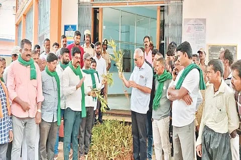 ಸಾಗರ ತಾಲೂಕಿನ ಕೆ.ಜಿ.ಕೊಪ್ಪ ಗ್ರಾಮದಲ್ಲಿ ನೆಟ್ಟಿದ್ದ ಗಿಡಗಳನ್ನು ಕಿತ್ತು ಹಾಕಿರುವ ಘಟನೆ ಖಂಡಿಸಿ ಗ್ರಾಮಸ್ಥರು ಎಸಿ ಕಚೇರಿ ಎದುರು ಪ್ರತಿಭಟನೆ ನಡೆಸಿದರು. ದಿನೇಶ್ ಶಿರವಾಳ, ಅಖಿಲೇಶ್ ಚಿಪ್ಳಿ, ರಮೇಶ್ ಕೆಳದಿ, ರಾಮಚಂದ್ರ, ದೇವರಾಜ, ಸೋಮಶೇಖರ್ ಇತರರಿದ್ದರು.
