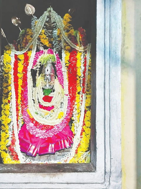 ಭಟ್ರಾಡಿ ಶ್ರೀ ಮಹಿಷಮರ್ಧಿನಿ ದೇವಳ ಜಾತ್ರಾ ಮಹೋತ್ಸವ ಪ್ರಯುಕ್ತ ಪಲ್ಲಕ್ಕಿ ಉತ್ಸವ ಶುಕ್ರವಾರ ನಡೆಯಿತು.