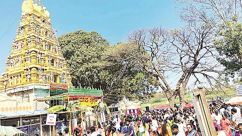 ಶ್ರೀರಂಗಪಟ್ಟಣ ಸಮೀಪದ ಗಂಜಾಂನ ಶ್ರೀ ನಿಮಿಷಾಂಬ ದೇವಿಯ ಸನ್ನಿಧಿಯಲ್ಲಿ ಭಕ್ತರು ಜೀವನದಿ ಕಾವೇರಿಯಲ್ಲಿ ಪುಣ್ಯಸ್ನಾನ ನೆರವೇರಿಸಿ ಶಕ್ತಿ ದೇವಿಯ ದರ್ಶನ ಪಡೆದರು.