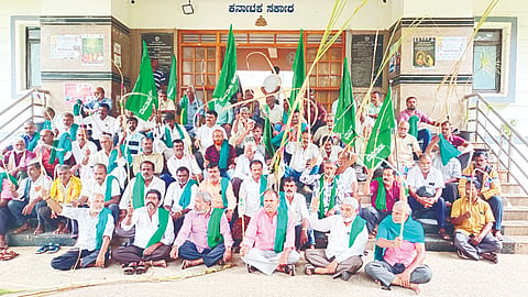 ಕೈಯಲ್ಲಿ ಒಣಗಿದ ಕಬ್ಬುಗಳ ಹಿಡಿದು ಶ್ರೀರಂಗಪಟ್ಟಣದ ತಾಲೂಕು ಕಚೇರಿ ಮುಂಭಾಗ ಭೂಮಿತಾಯಿ ಹೋರಾಟ ಸಮಿತಿ ಕಾರ್ಯಕರ್ತರು ಪ್ರತಿಭಟನೆ ನಡೆಸಿದರು. ಕೆ.ಎಸ್.ನಂಜುಂಡೇಗೌಡ,  ಬಿ.ಸಿ.ಕೃಷ್ಣೇಗೌಡ, ಎಂ.ವಿ.ಕೃಷ್ಣ, ಮಹದೇವು ಇತರರಿದ್ದರು.