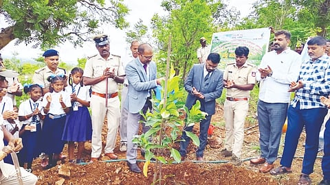 ಶ್ರೀರಂಗಪಟ್ಟಣ ತಾಲೂಕಿನ ಕರಿಘಟ್ಟ ಬೆಟ್ಟದಲ್ಲಿ ಶುಕ್ರವಾರ ವಿಶ್ವ ಪರಿಸರ ದಿನಾಚರಣೆ ಪ್ರಯುಕ್ತ ತಾಲೂಕು ಕಾನೂನು ಸೇವಾ ಸಮಿತಿ ಸಹಯೋಗದೊಂದಿಗೆ ಆಯೋಜಿಸಿದ್ದ ಕಾರ್ಯಕ್ರಮದಲ್ಲಿ ನ್ಯಾಯಾಧೀಶ ಎಂ.ಇ.ಮೋಹನ್‌ಗೌಡ ಸಸಿ ನೆಟ್ಟು ನೀರುಣಿಸಿದರು. ಒಂದನೇ ಅಪರ ಹಿರಿಯ ಸಿವಿಲ್ ನ್ಯಾಯಾಧೀಶ ಎನ್.ಕೃಷ್ಣಮೂರ್ತಿ,  ಎನ್.ಮರೀಗೌಡ, ದಿನೇಶ್, ಬಿ.ಜಿ.ಕುಮಾರ್, ನಾಗರಾಜು ಇದ್ದರು.