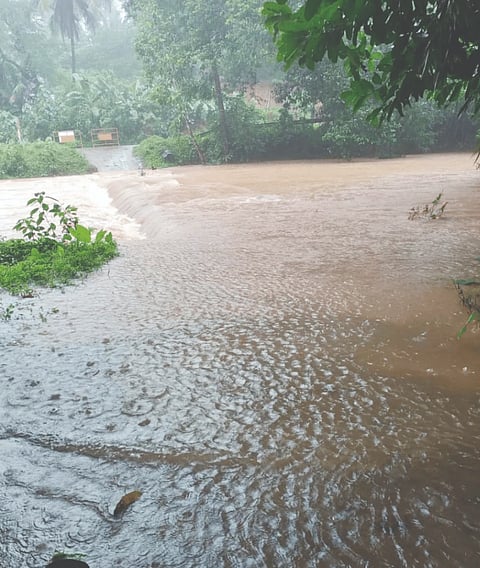 ಬೊಳ್ಮಲೆ ಸೇತುವೆ ಮುಳುಗಡೆಗೊಂಡು ಸಂಚಾರ ಸ್ಥಗಿತಗೊಂಡಿತ್ತು.