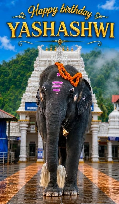 ಕುಕ್ಕೆ ದೇವಳದ ಆನೆ ಯಶಸ್ವಿ.