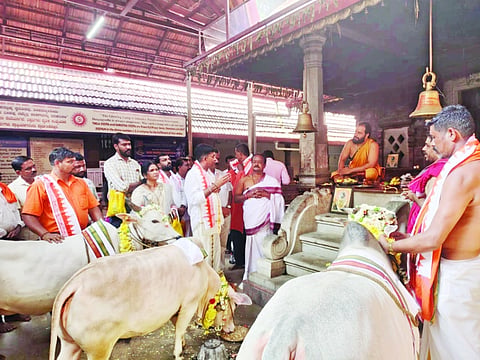 ಸುಬ್ರಹ್ಮಣ್ಯ ದೇವಳದ ರಥಗಳಿಗೆ ಕ್ಷೇತ್ರ ಪುರೋಹಿತ ಮಧುಸೂದನ ಕಲ್ಲೂರಾಯ ಗೂಟ ಪೂಜೆ ನೆರವೇರಿಸಿದರು.