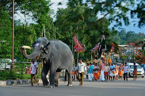 ಕುಕ್ಕೆ ದೇವಳದಲ್ಲಿ ಶ್ರೀಕೃಷ್ಣಾಷ್ಟಮಿ ಮತ್ತು ಮೊಸರು ಕುಡಿಕೆ ಉತ್ಸವವನ್ನು ಶನಿವಾರ ಆಚರಿಸಲಾಯಿತು. ವ್ಯವಸ್ಥಾಪನಾ ಸಮಿತಿ ಅಧ್ಯಕ್ಷ ಹರೀಶ್ ಎಸ್.ಇಂಜಾಡಿ, ಸದಸ್ಯ ಅಶೋಕ್ ನೆಕ್ರಾಜೆ, ಲೋಕೇಶ್ ಎ.ಆರ್. ಮತ್ತಿತರರು ಉಪಸ್ಥಿತರಿದ್ದರು.  