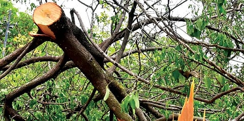 ಸಾಂದರ್ಭಿಕ ಚಿತ್ರ
