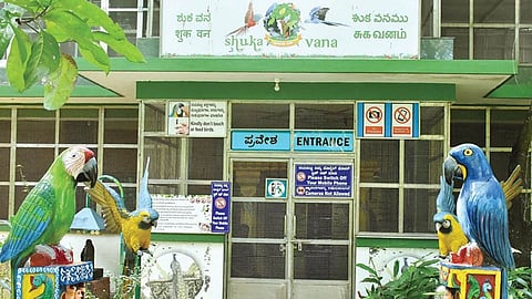ಅವಧೂತ ದತ್ತ ಪೀಠದ ಗಿಳಿಗಳ ಪುನರ್ವಸತಿ ಕೇಂದ್ರ ಶುಕವನ