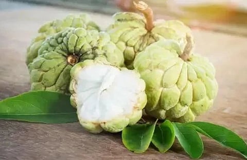 ಆರೋಗ್ಯಕ್ಕೆ ತುಂಬಾನೇ ಒಳ್ಳೆಯದು | Sitaphal