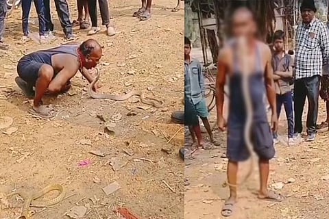 ಬಾಯಲ್ಲಿ ಹಾವು ಹಿಡಿದ ಒಡಿಶಾ ಭೂಪ