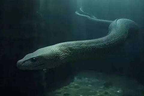 ಸಾಂಧರ್ಭಿಕ ಚಿತ್ರ