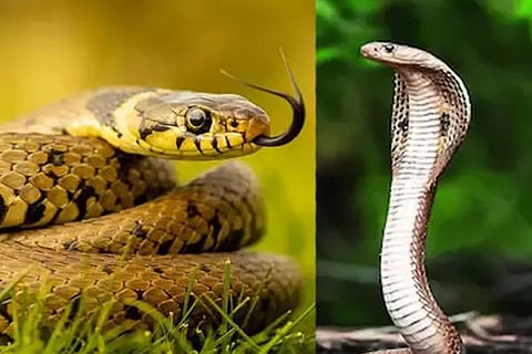 ಸಾಂದರ್ಭಿಕ ಚಿತ್ರ 