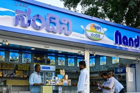 Nandini 
