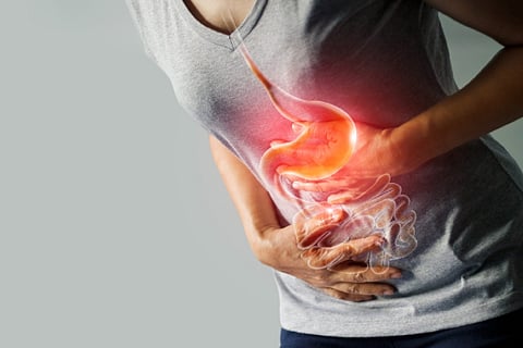 Gut Health